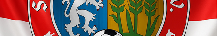 Vorläufige Ligeneinteilung